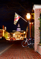 Flags at night